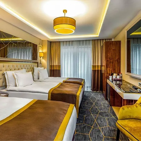 Hotel Beethoven Senfoni