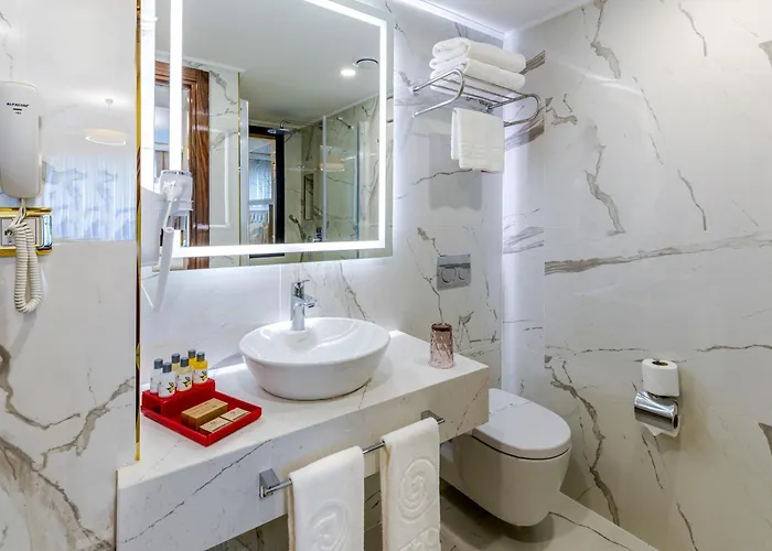 Hotel Beethoven Senfoni